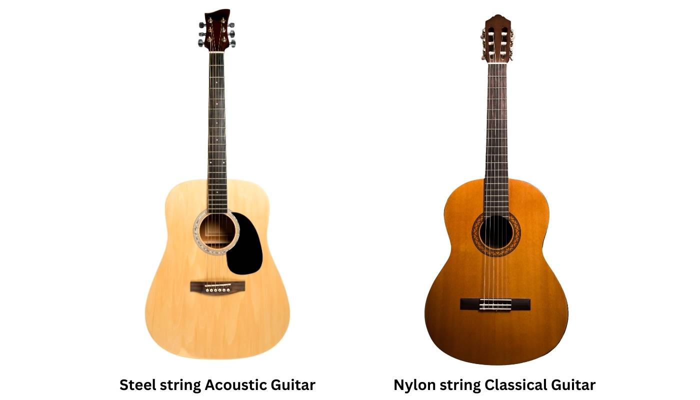 Steel string and nylon string acoustic guitars